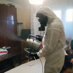 Дезинфекция от клопов в Оржицы