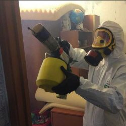 Уничтожение клопов в квартире. Оржицы